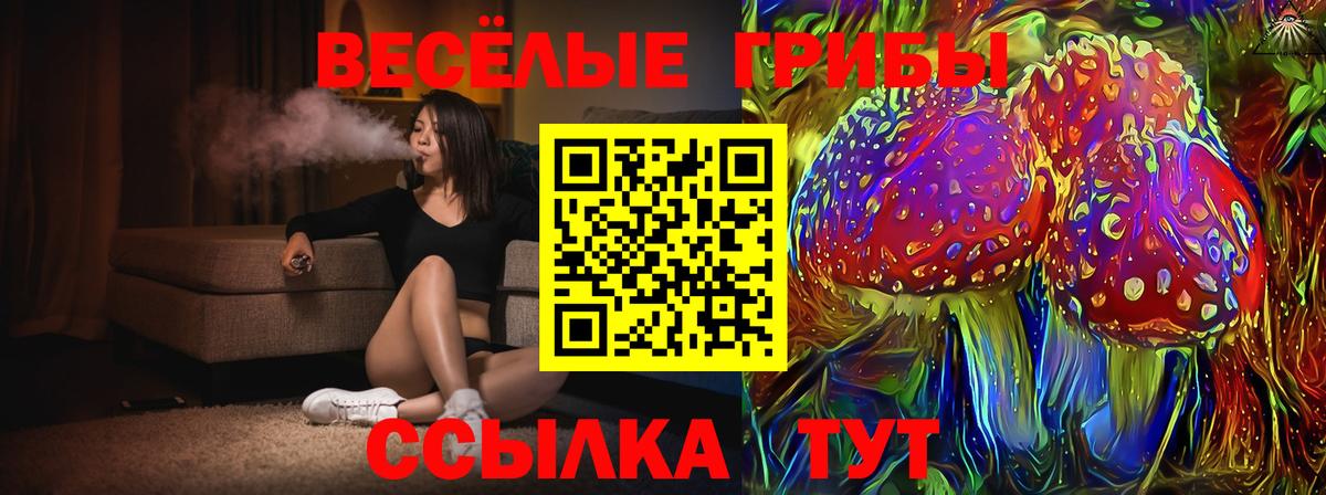 Юрга  Галлюциногенные грибы MAGIC MUSHROOMS  Вход с VPN  Галлюциногенные грибы Psilocybe 